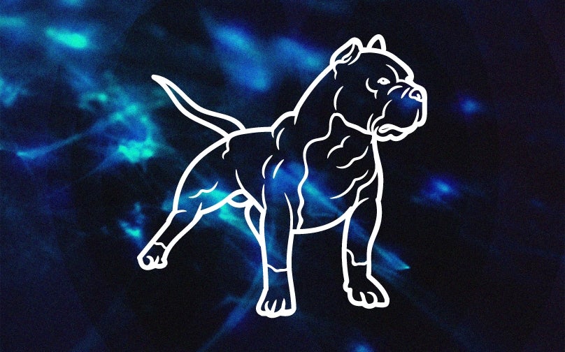 More Info for Carolina's One Big Dog Show