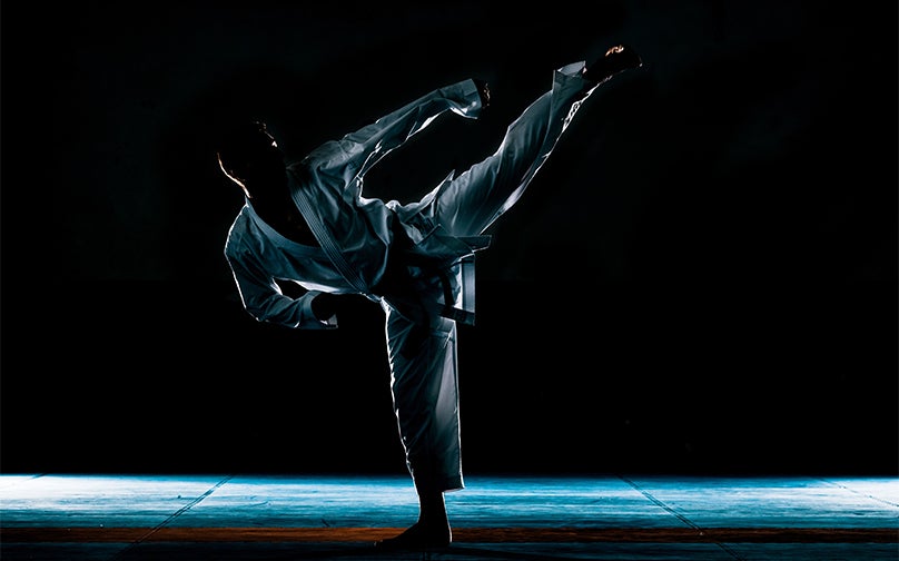 More Info for The Warm Up Taekwondo Championship